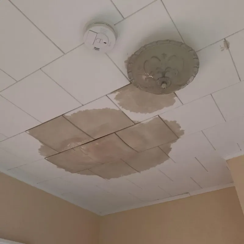 Ceiling Water Damage Repair in McLean, VA
