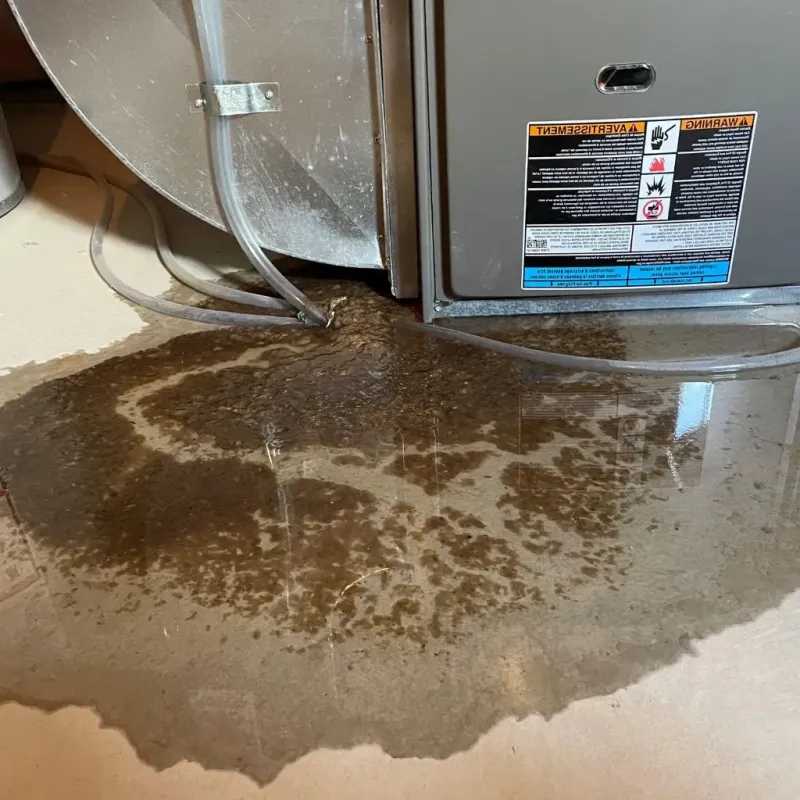 Pipe Burst and Leak Restoration in McLean, VA